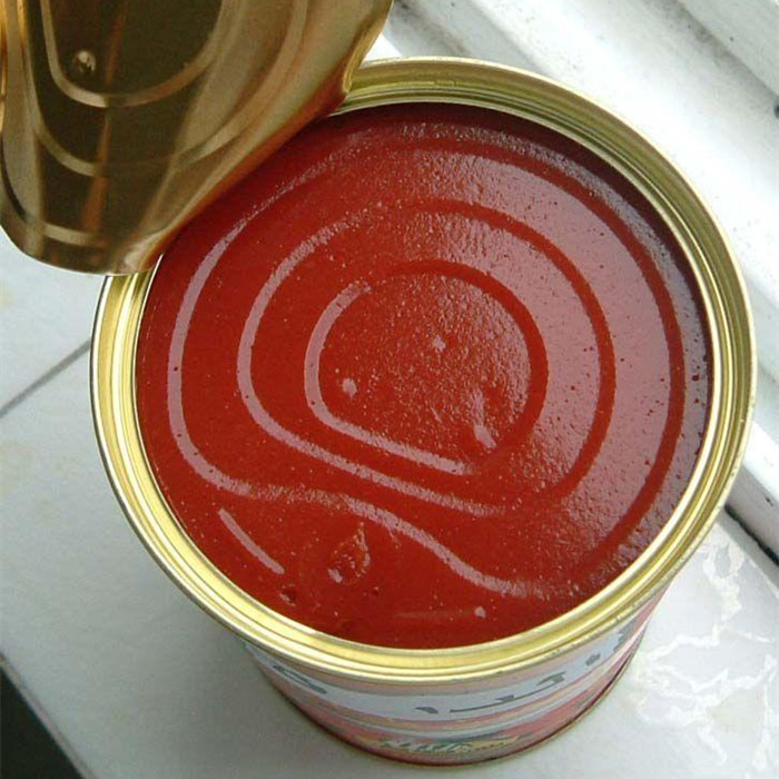 china canned tomato paste